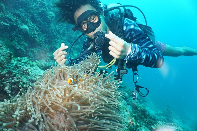 Half Day Discover SCUBA Diving Phi Phi Island - Eco-Focused Dive Team