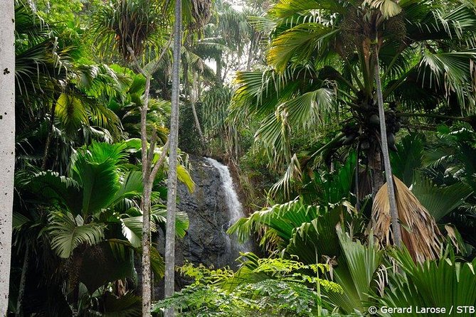 Half Day Discovery Tour of Vallee De Mai on Praslin Island - Key Points