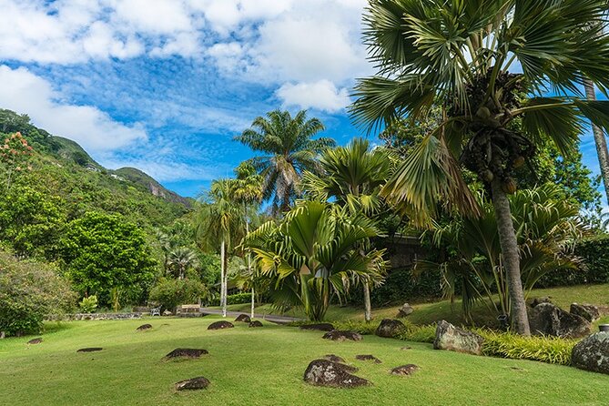Half Day Discovery Tour of Victoria - Seychelles Capital on Mahe Island - Preparing for the Tour