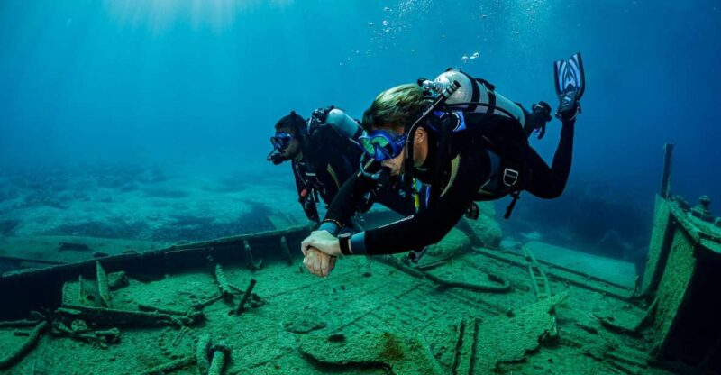 Half Day Dive Trip for Certified Divers - Pricing