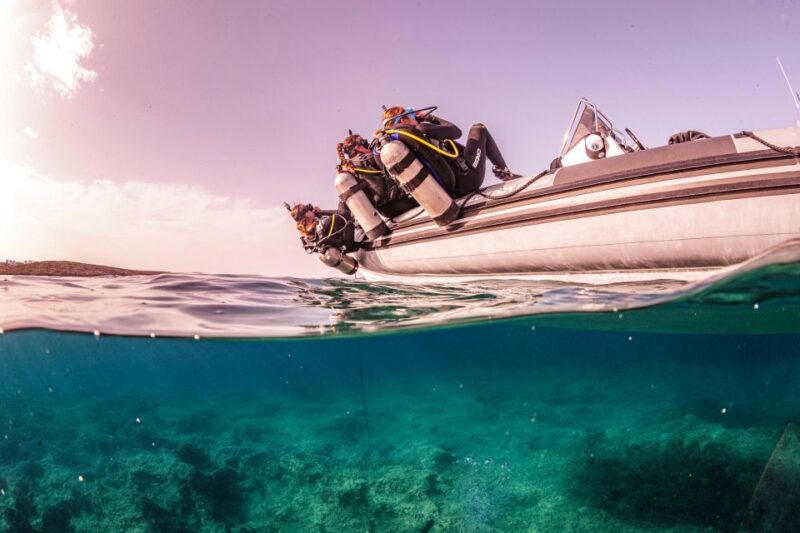 Half Day Dive Trip for Certified Divers - Location and Transport