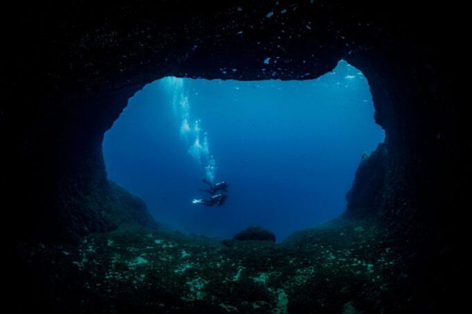 Half Day Dive Trip for Certified Divers - Availability and Booking