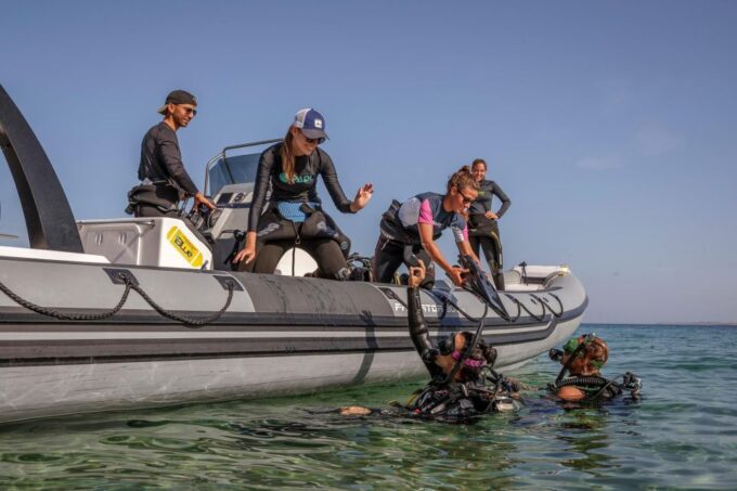Half Day Dive Trip for Certified Divers - Expert Dive Leader