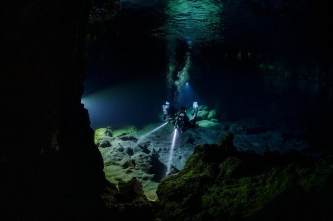 Half Day Dive Trip for Certified Divers - Underwater Exploration