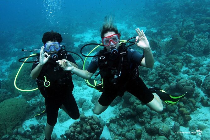 Half Day Diving Adventure With Transportation Included - Overview of the Diving Adventure