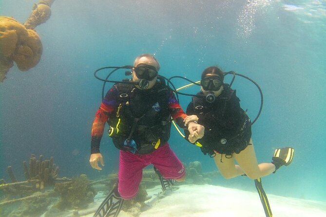 Half Day Diving Adventure With Transportation Included - Highlights of the Diving Experience