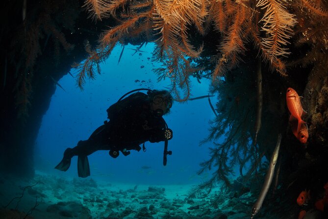 Half-Day Diving in Sal - Dive Requirements