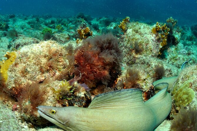 Half-Day Diving in Sal - Health Considerations