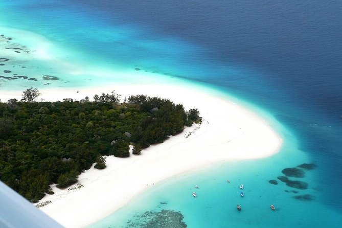 Half-Day Dolphin & Snorkeling Tour in Mnemba Island Zanzibar - Key Points