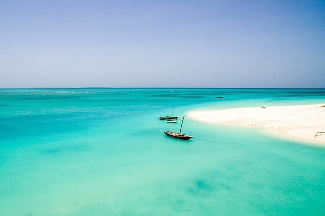 Half-Day Dolphin & Snorkeling Tour in Mnemba Island Zanzibar - Pickup and Accessibility