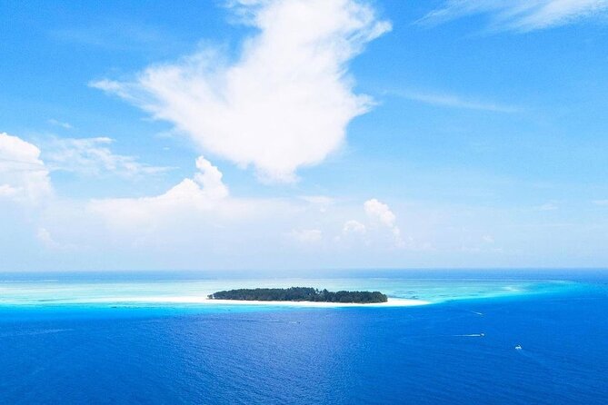 Half-Day Dolphin & Snorkeling Tour in Mnemba Island Zanzibar - Frequently Asked Questions