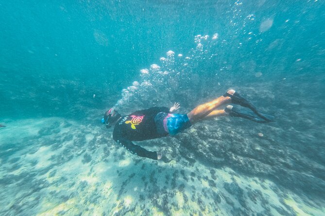Half-Day Dolphin Watching and Snorkeling in Samara - Overview of the Tour