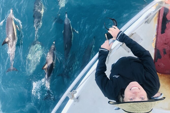 Half Day Dolphin Watching Cruise (Departing From Rotorua) - Accessibility and Participation