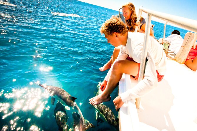 Half Day Dolphin Watching Cruise (Departing From Rotorua) - Onboard Commentary