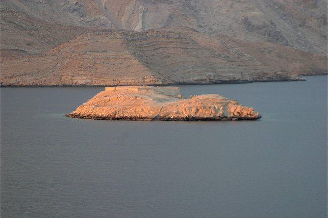 Half Day Dolphin Watching Musandam Dhow Cruise - Accessibility