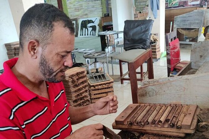 Half Day Dominican Republic Cultural Tour - Transportation and Logistics