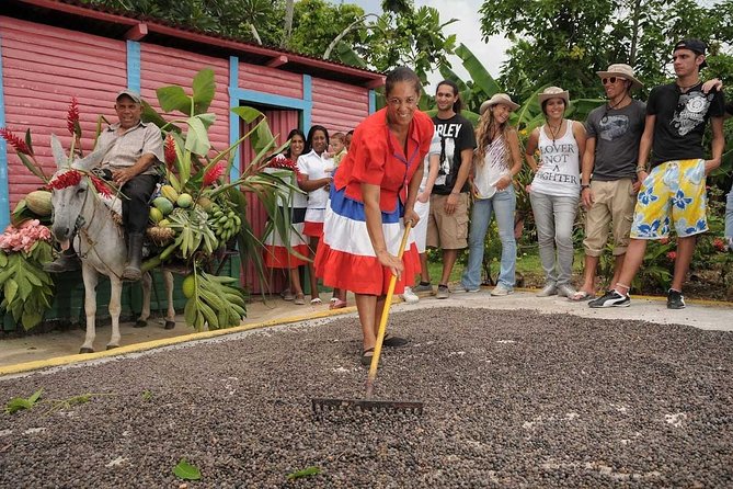 Half-Day Dominican Republic Safari Tour From Punta Cana - Customer Feedback and Experiences