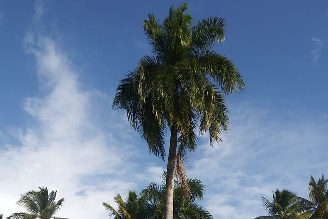 Half Day Dominican Safari Experience ... / Half Day Safari Excursion - What to Expect