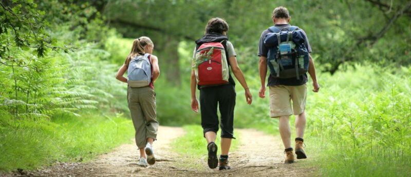 Half Day Drakensberg Mountains & Hiking Tour From Durban - Abundant Wildlife and Outdoor Activities