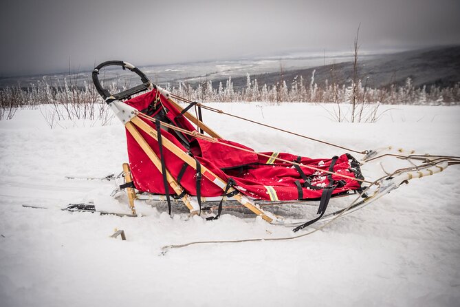 Half Day Drive Your Own Dog Team Dog Sledding Tour - Reviews and Ratings