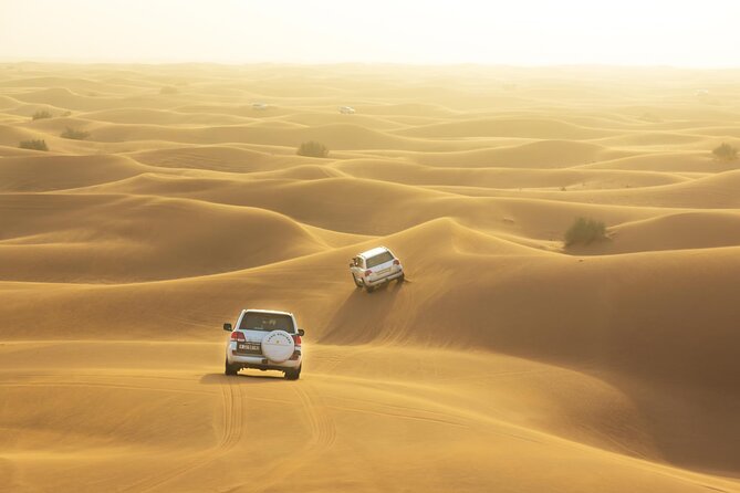 Half-Day Dubai Dunes Desert Safari Experience - Safari Overview