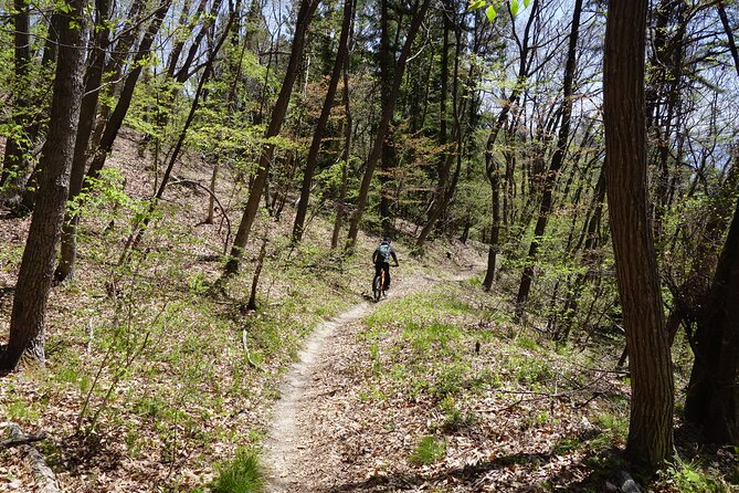 Half Day E-Bike Adventure Tour in Nagano - Tour Itinerary