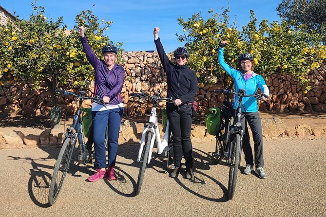 Half-Day E-Bike Tour Around the Hexenberg - Inclusions