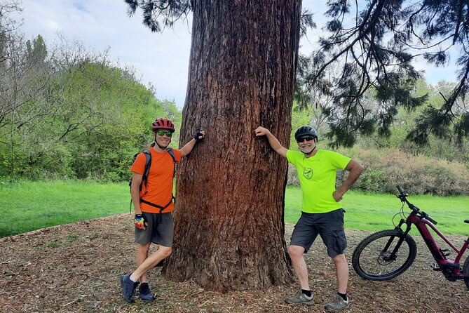 Half-Day E-Bike Tour Through Buda Hills to the Top of Budapest - Participant Information