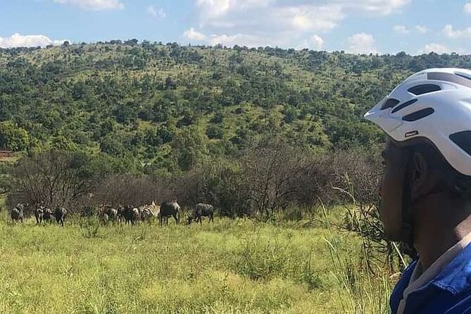 Half Day E-Biking With Wildlife Watching in Pretoria - E-Biking Adventure