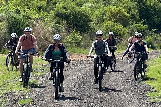 Half Day E-Biking With Wildlife Watching in Pretoria - Transportation Options