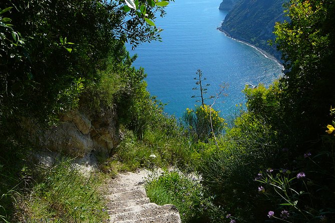 Half-Day East Coast Hike in Ischia Island With Pick-Up - Tour Schedule