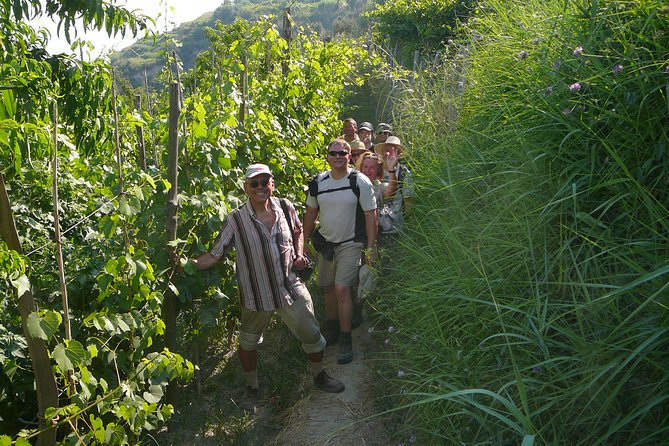 Half-Day East Coast Hike in Ischia Island With Pick-Up - Health and Safety Considerations
