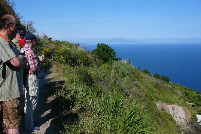 Half-Day East Coast Hike in Ischia Island With Pick-Up - Additional Information