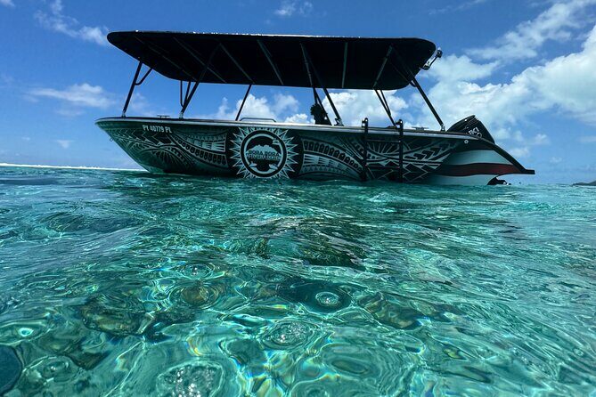Half day Eco Snorkeling small group Tour in Bora Bora - Authentic Experiences from Fellow Travelers
