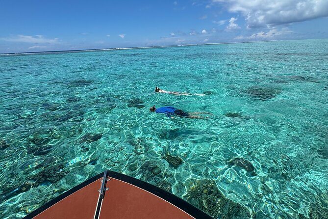 Half day Eco Snorkeling small group Tour in Bora Bora - What Does the Price Include and Is It Worth It?