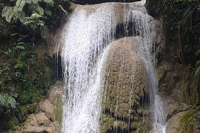 Half-Day El Limon Waterfall and Cayo Levantado Tour With Lunch - Additional Information