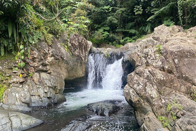 Half-Day El Yunque and Waterslides Adventure from Fajardo - Key Points