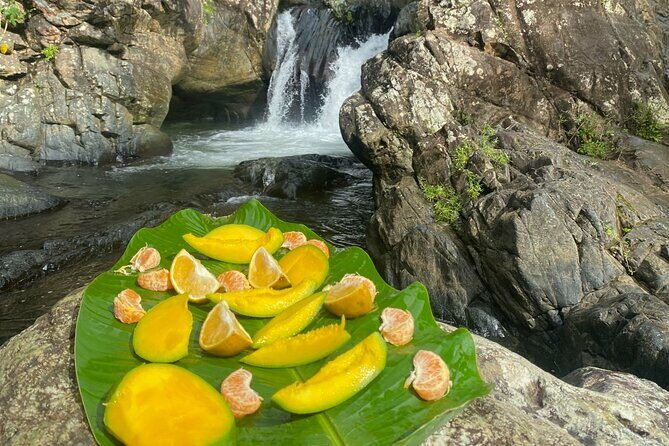 Half-Day El Yunque and Waterslides Adventure from Fajardo - FAQ
