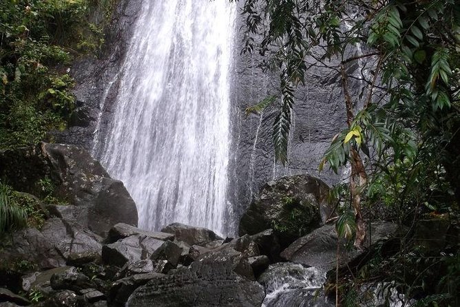 Half-Day El Yunque National Forest Tour From San Juan - Experience and Expectations