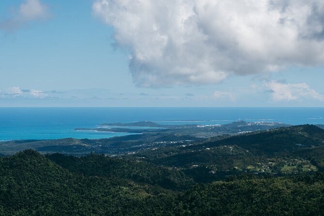 Half-Day El Yunque National Forest Tour From San Juan - Cancellation and Booking Information