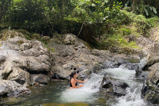 Half-Day El Yunque Rainforest Tour From Fajardo - Meeting and Transportation