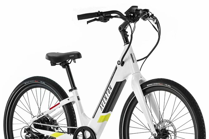 Half Day Electric Bike Rental on the Pinellas Trail - Included Features and Equipment