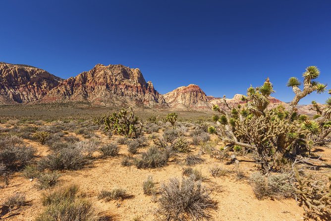 Half-Day Electric Bike Tour of Red Rock Canyon - Bike Specifications and Features