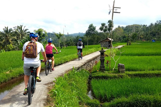 Half-Day Electric Cycling Tour of Ubud - Exploring Ubuds Picturesque Surroundings