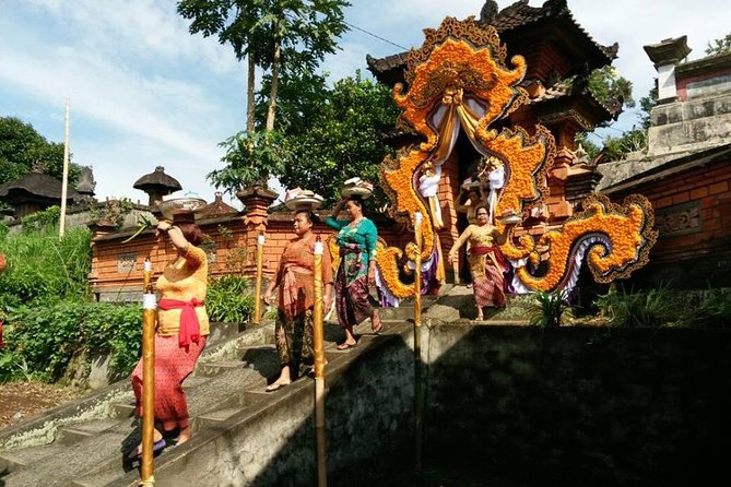Half-Day Electric Cycling Tour of Ubud - Inclusions and Amenities