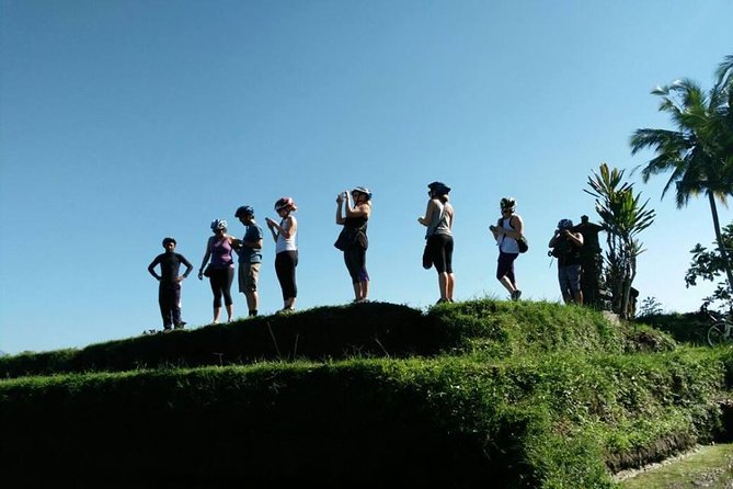 Half-Day Electric Cycling Tour of Ubud - Booking and Confirmation