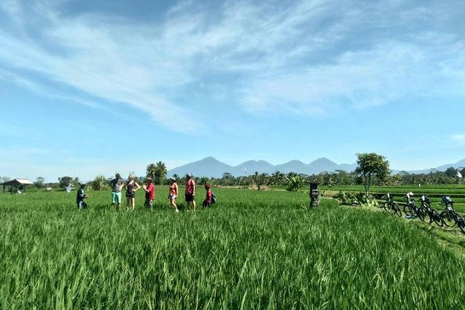 Half-Day Electric Cycling Tour of Ubud - Tour Requirements and Accessibility