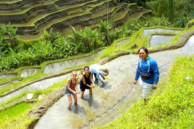Half-Day Electric Cycling Tour of Ubud - Pickup and Meeting Point