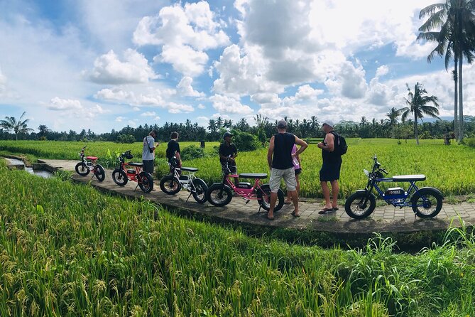 Half-Day Electric Fat Bike Tour of Ubud - Participant Information