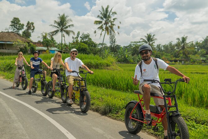 Half-Day Electric Fat Bike Tour of Ubud - Booking Information